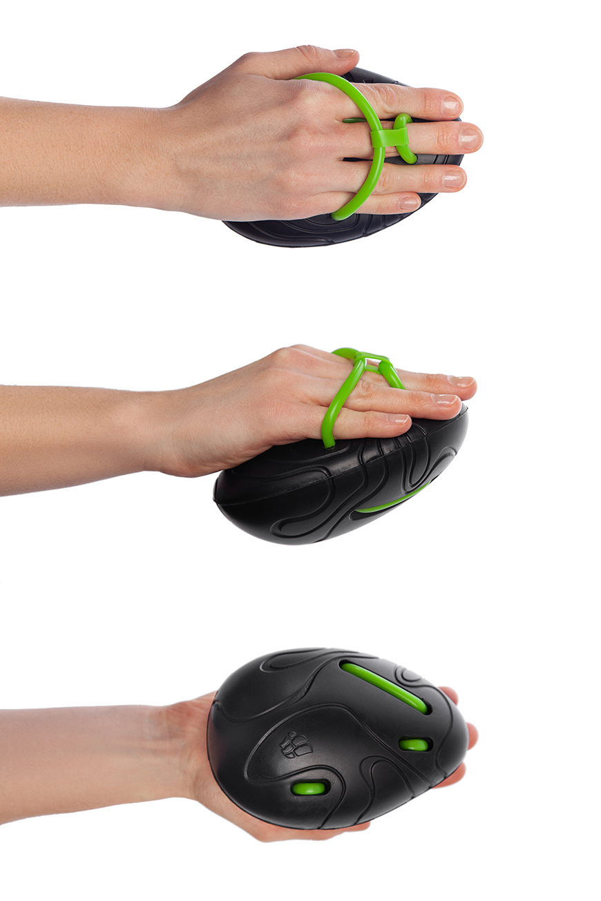 Egg trainer