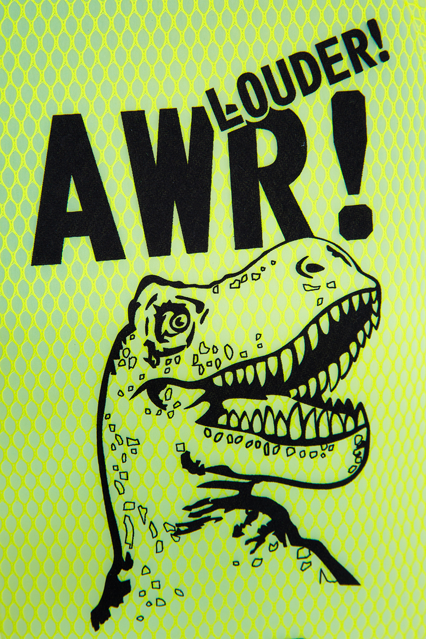 Wet Bag Dino